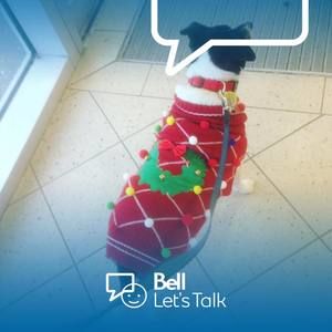 Meet your Posher, Donna